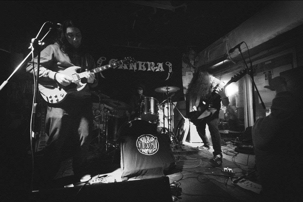 divinorum tocando en vivo