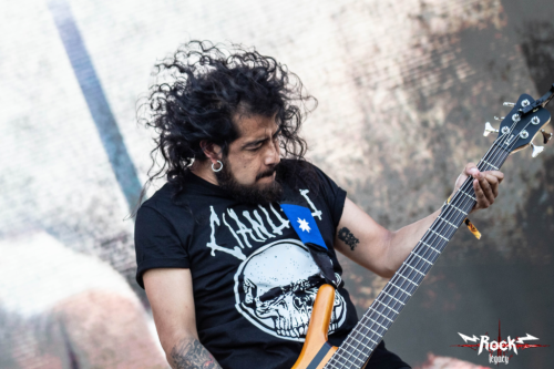 493E3A90-57A9-430D-9EC3-098F6165772A