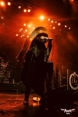 crystaliq export (1)